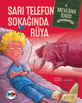 Sarı Telefon Sokağında Rüya