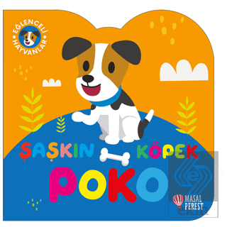 Şaşkın Köpek Poko