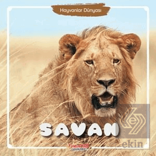 Savan - Hayvanlar Dünyası