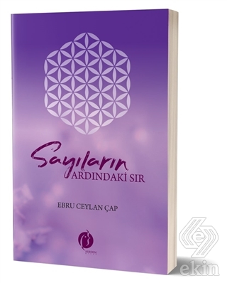 Sayıların Ardındaki Sır