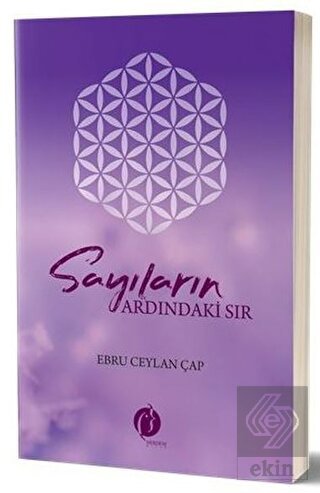 Sayıların Ardındaki Sır