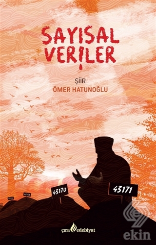 Sayısal Veriler