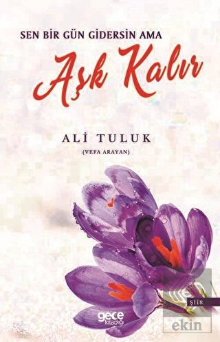 Sen Bir Gün Gidersin Ama Aşk Kalır