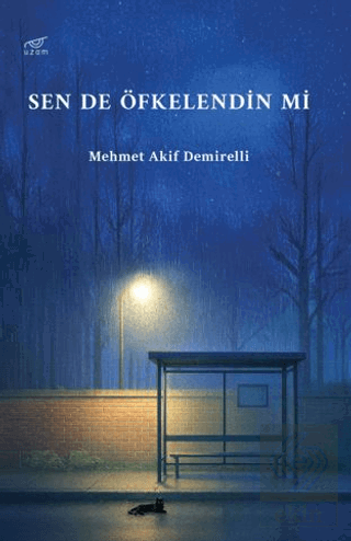 Sen De Öfkelendin Mi