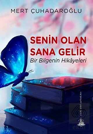Senin Olan Sana Gelir