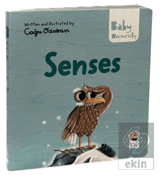 Senses - Baby University First Concepts Stories