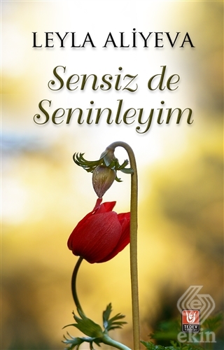 Sensiz de Seninleyim