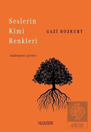 Seslerin Kimi Renkleri