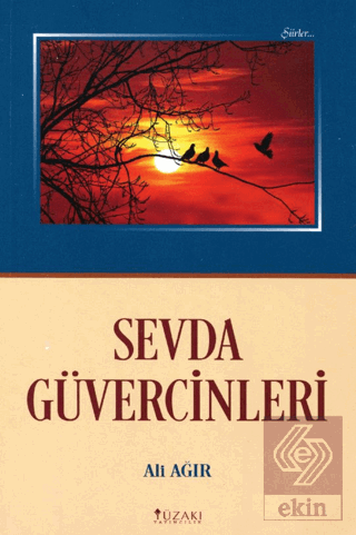 Sevda Güvercinleri