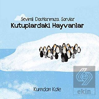 Sevimli Dostlarımıza Sorular Kutuptaki Hayvanlar