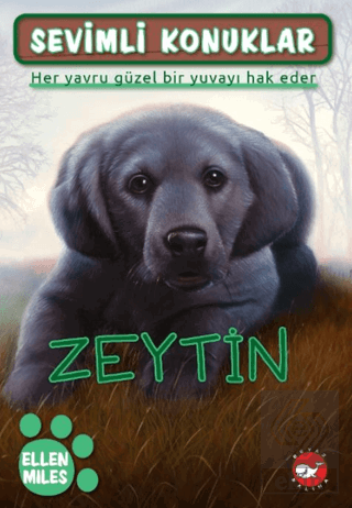 Sevimli Konuklar 3 - Zeytin