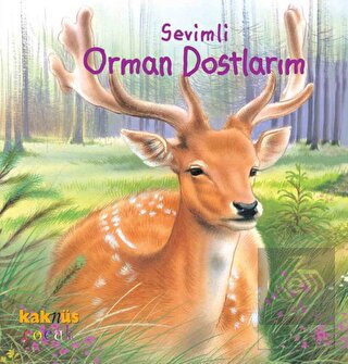 Sevimli Orman Dostlarım