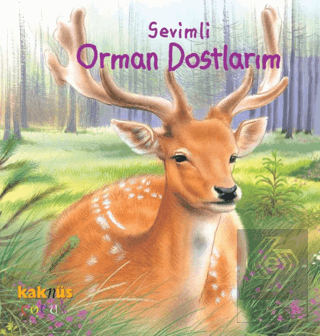 Sevimli Orman Dostlarım