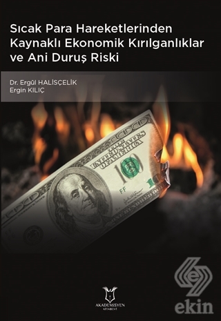 Sıcak Para Hareketlerinden Kaynaklı Ekonomik Kırıl