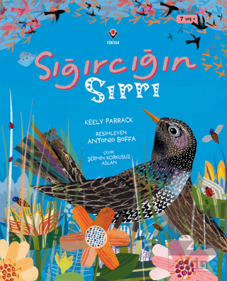 Sığırcığın Sırrı