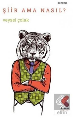 Şiir Ama Nasıl?