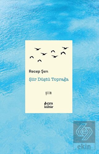 Şiir Düştü Toprağa