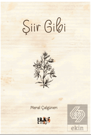 Şiir Gibi