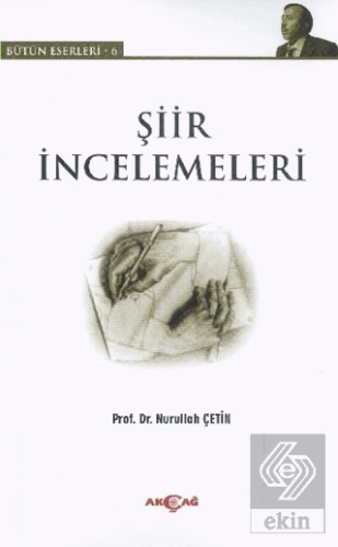 Şiir İncelemeleri