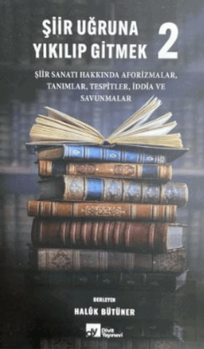 Şiir Uğruna Yıkılıp Gitmek 2