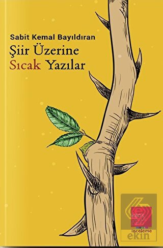 Şiir Üzerine Sıcak Yazılar