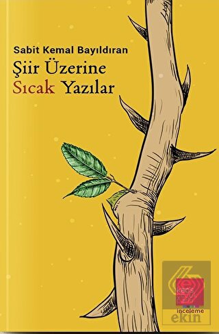 Şiir Üzerine Sıcak Yazılar