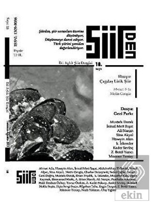 Şiirden İki Aylık Şiir Dergisi Sayı: 18