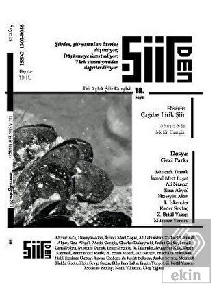 Şiirden İki Aylık Şiir Dergisi Sayı: 18