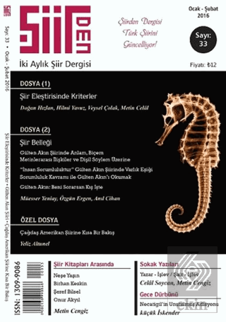 Şiirden İki Aylık Şiir Dergisi Sayı: 33 Ocak-Şubat