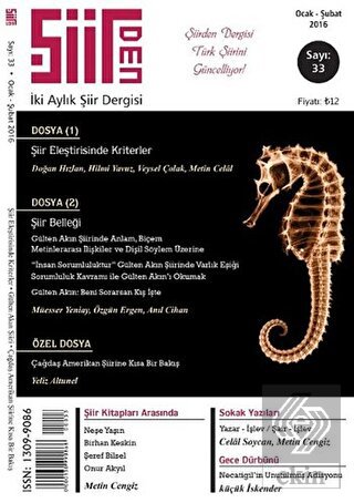 Şiirden İki Aylık Şiir Dergisi Sayı: 33 Ocak-Şubat