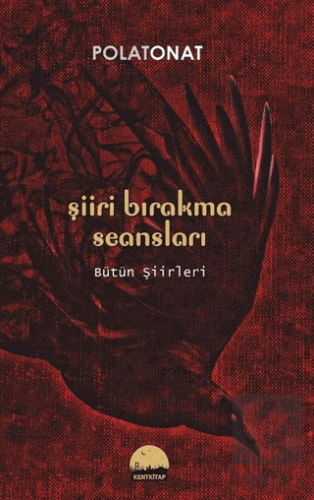 Şiiri Bırakma Seansları