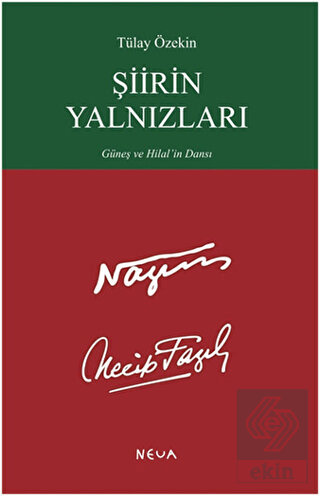 Şiirin Yalnızları