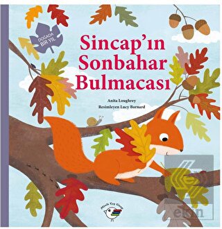 Sincap'ın Sonbahar Bulmacası – Doğada Bir Yıl