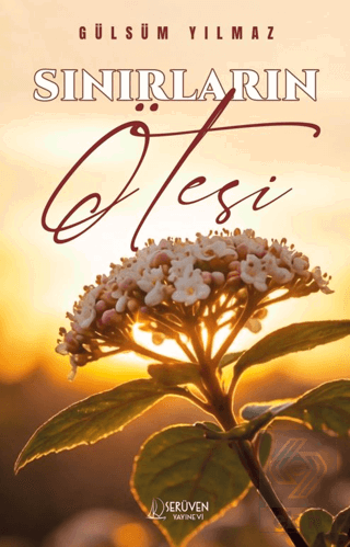 Sınırların Ötesi