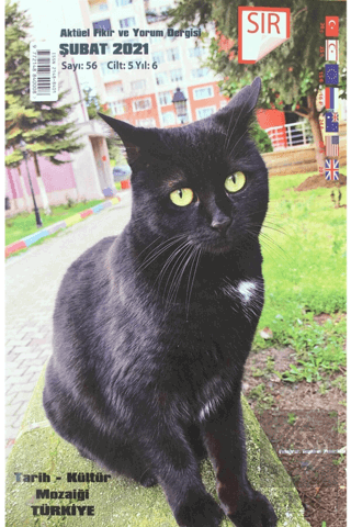 Sır Aktüel Fikir ve Yorum Dergisi Sayı: 56 Şubat 2021