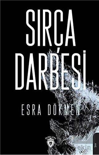 Sırça Darbesi