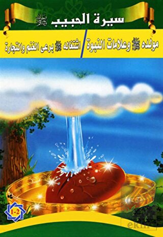 Siretül Habib / Peygamberimizin Hayatı - 5 Kitap