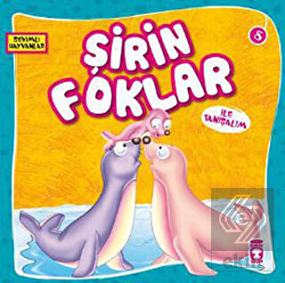 Şirin Foklar ile Tanışalım