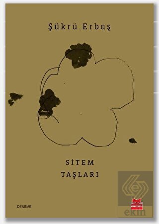 Sitem Taşları
