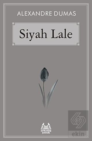 Siyah Lale