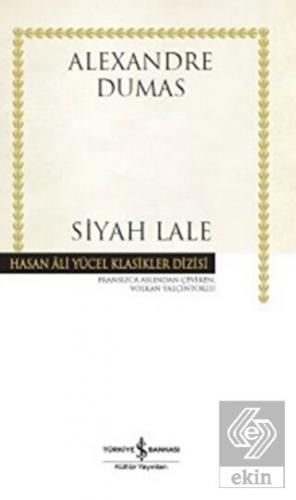 Siyah Lale