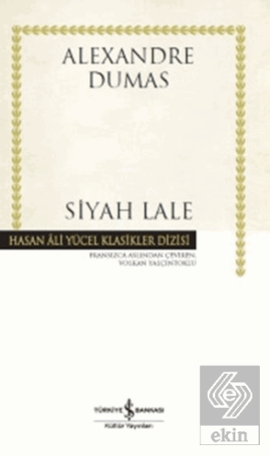 Siyah Lale