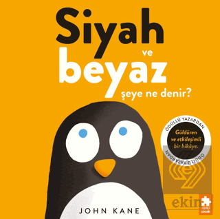 Siyah ve Beyaz Şeye Ne Denir?