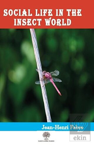 Social Life in the Insect World