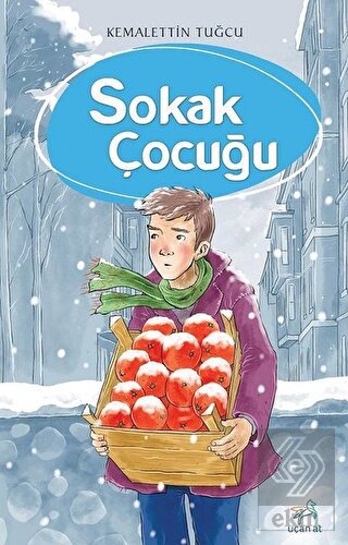 Sokak Çocuğu