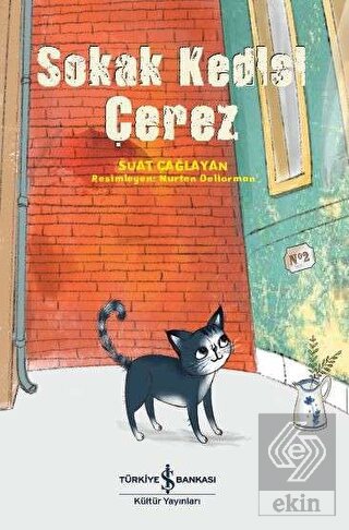 Sokak Kedisi Çerez