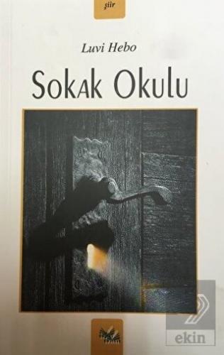 Sokak Okulu