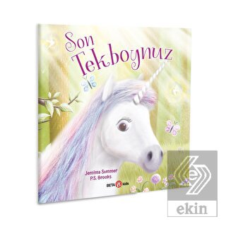 Son Unicorn Tekboynuz