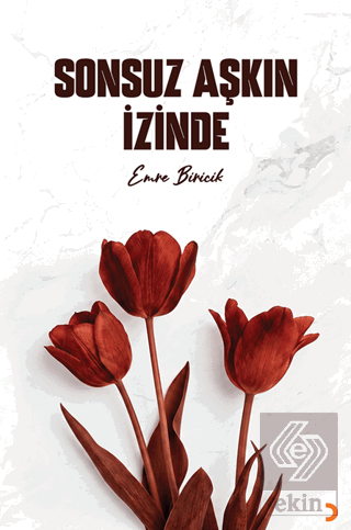 Sonsuz Aşkın İzinde