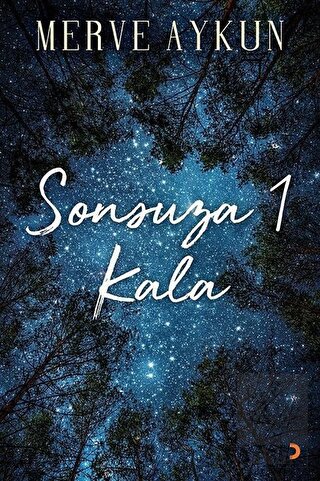 Sonsuza 1 Kala